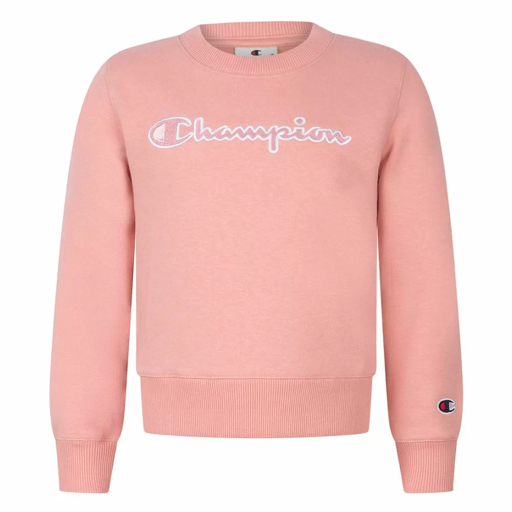 Kids champion crewneck shop
