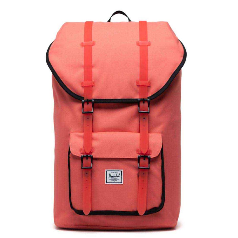 Herschel little america rose best sale