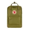 Kanken Laptop 15 23524-631 A MAIN FJR 1