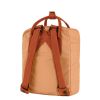 Kanken MIni 23561-241-243 G MAIN FJR