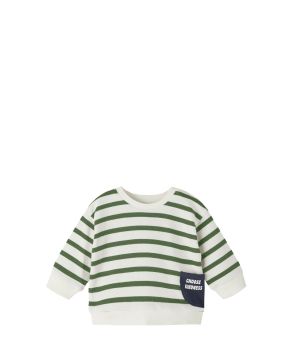 13219464-Dill-1