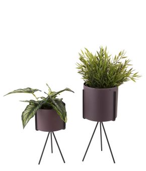Plant pot set Pedestal iron